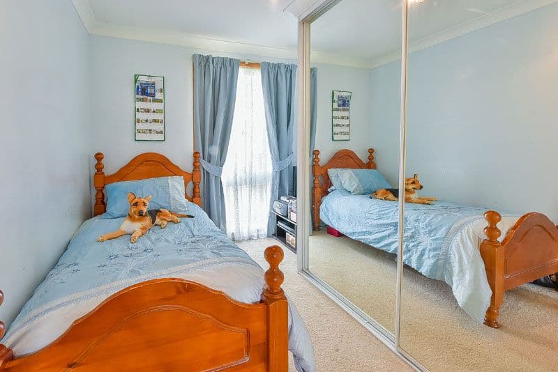 17 Holborn Street, Ambarvale NSW 2560, Ambarvale - Thumbnail 5