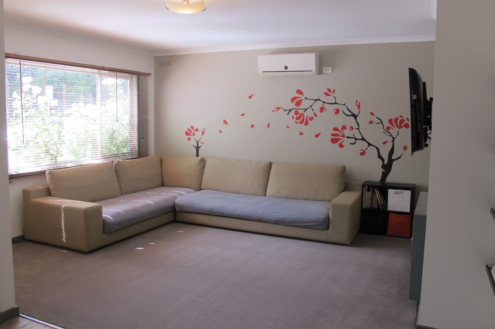 16 High Street, Hamilton VIC 3300, Hamilton - Thumbnail 5