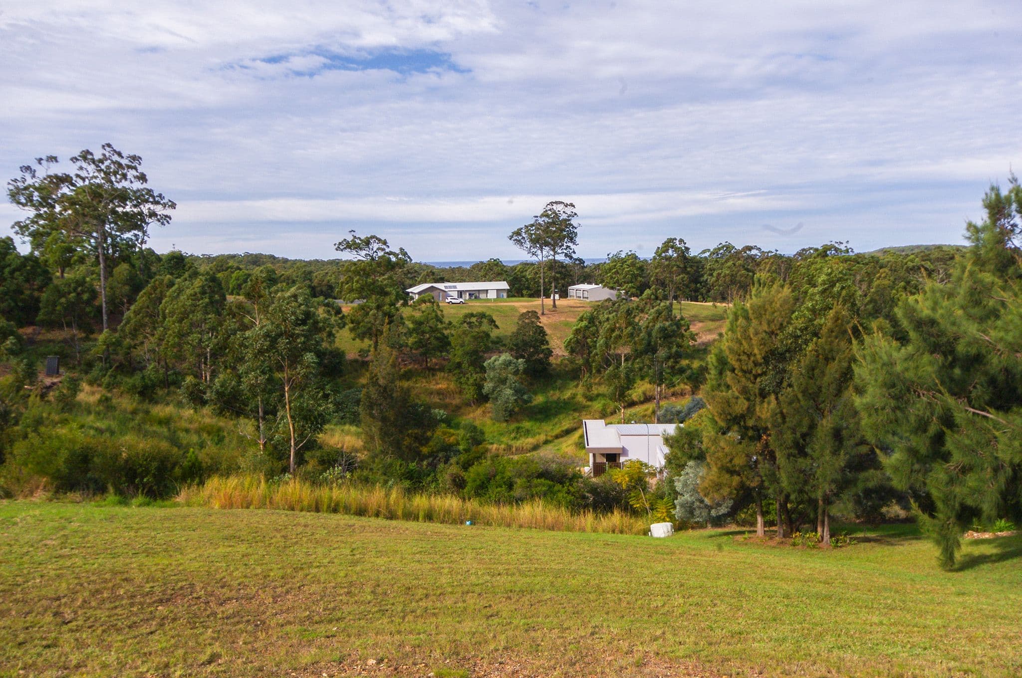 19 Azalea Crescent, Tallwoods Village NSW 2430, Tallwoods Village - Thumbnail 3