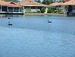 5 Lakes Crescent, SOUTH YUNDERUP WA 6208, South Yunderup - Thumbnail 5