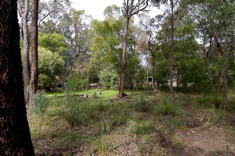 10 Ridge Road, GLEN FORREST WA 6071, Glen Forrest - Thumbnail 8