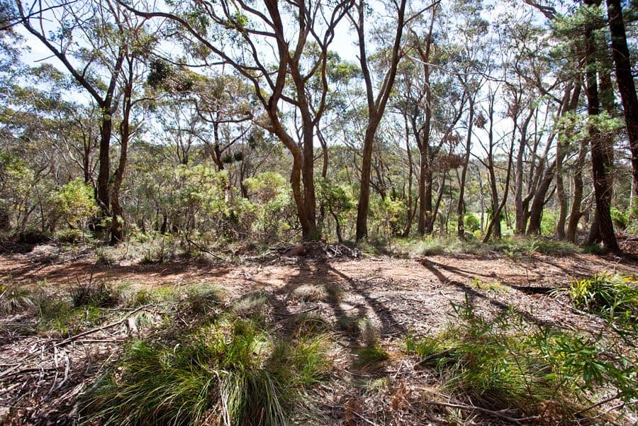 97 Connaught Road, Blackheath NSW 2785, Blackheath - Thumbnail 3