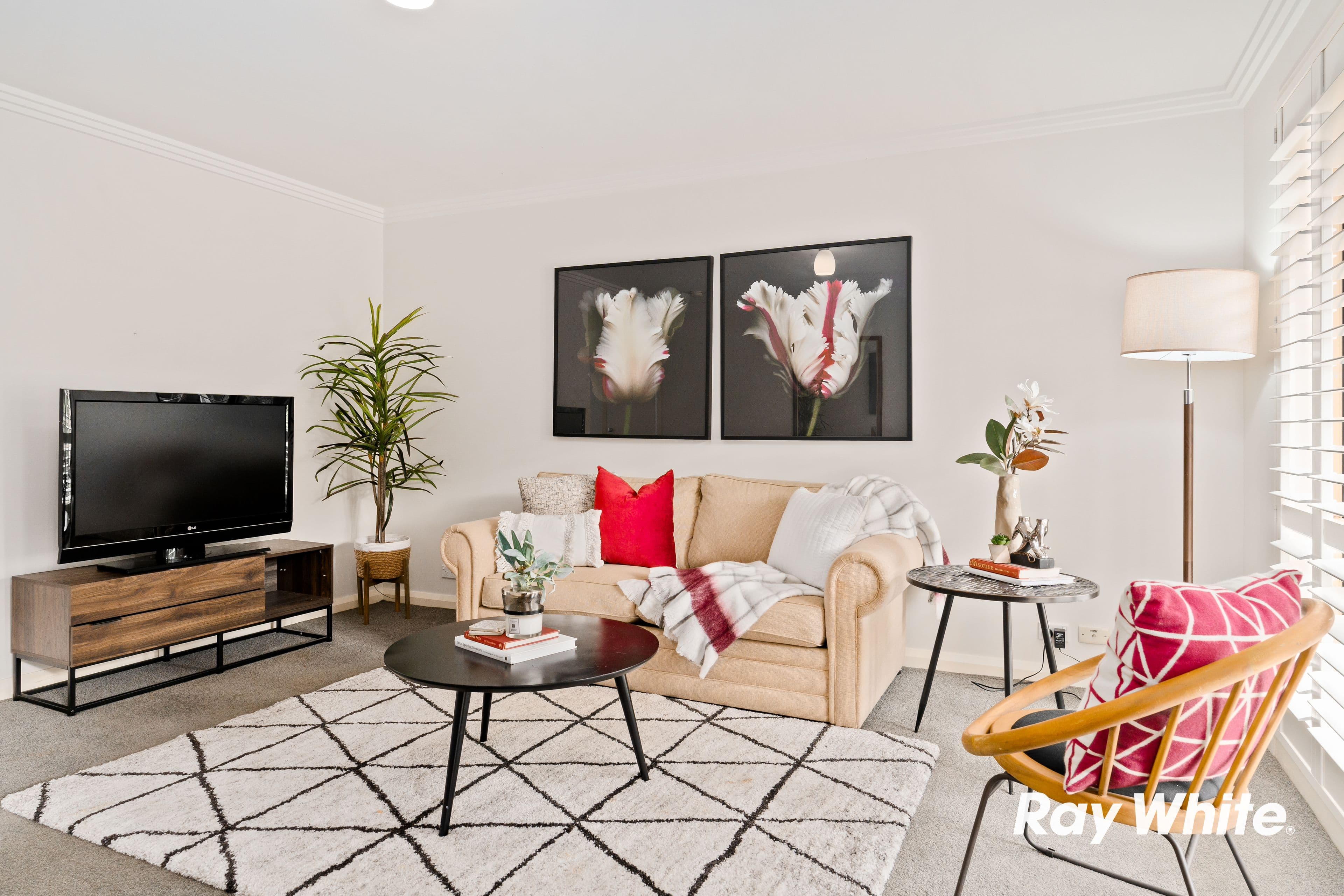 8 Hillcrest Road, Quakers Hill NSW 2763, Quakers Hill - Thumbnail 2
