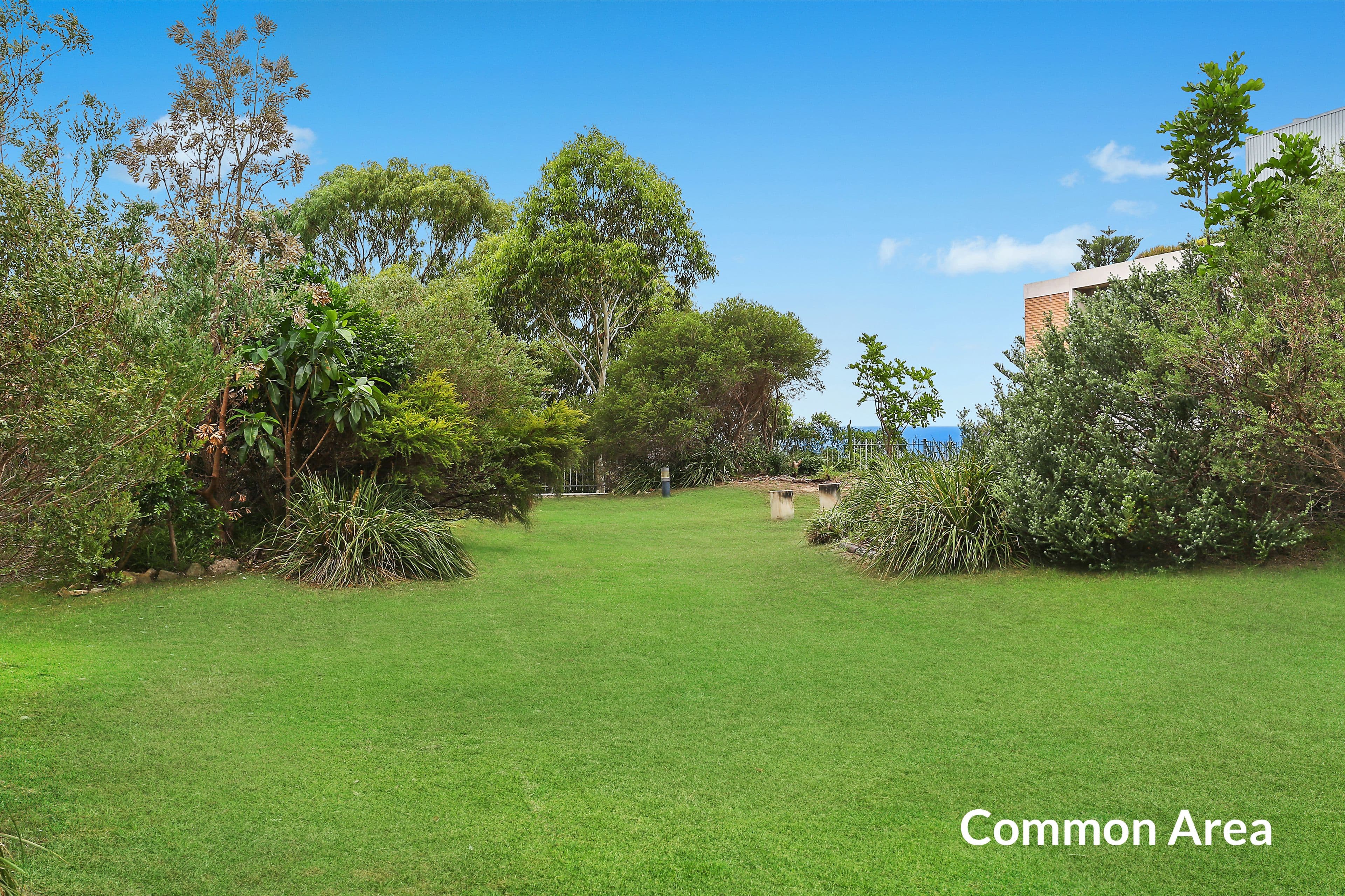 69 St Marks Road, Randwick NSW 2031, Randwick - Thumbnail 7