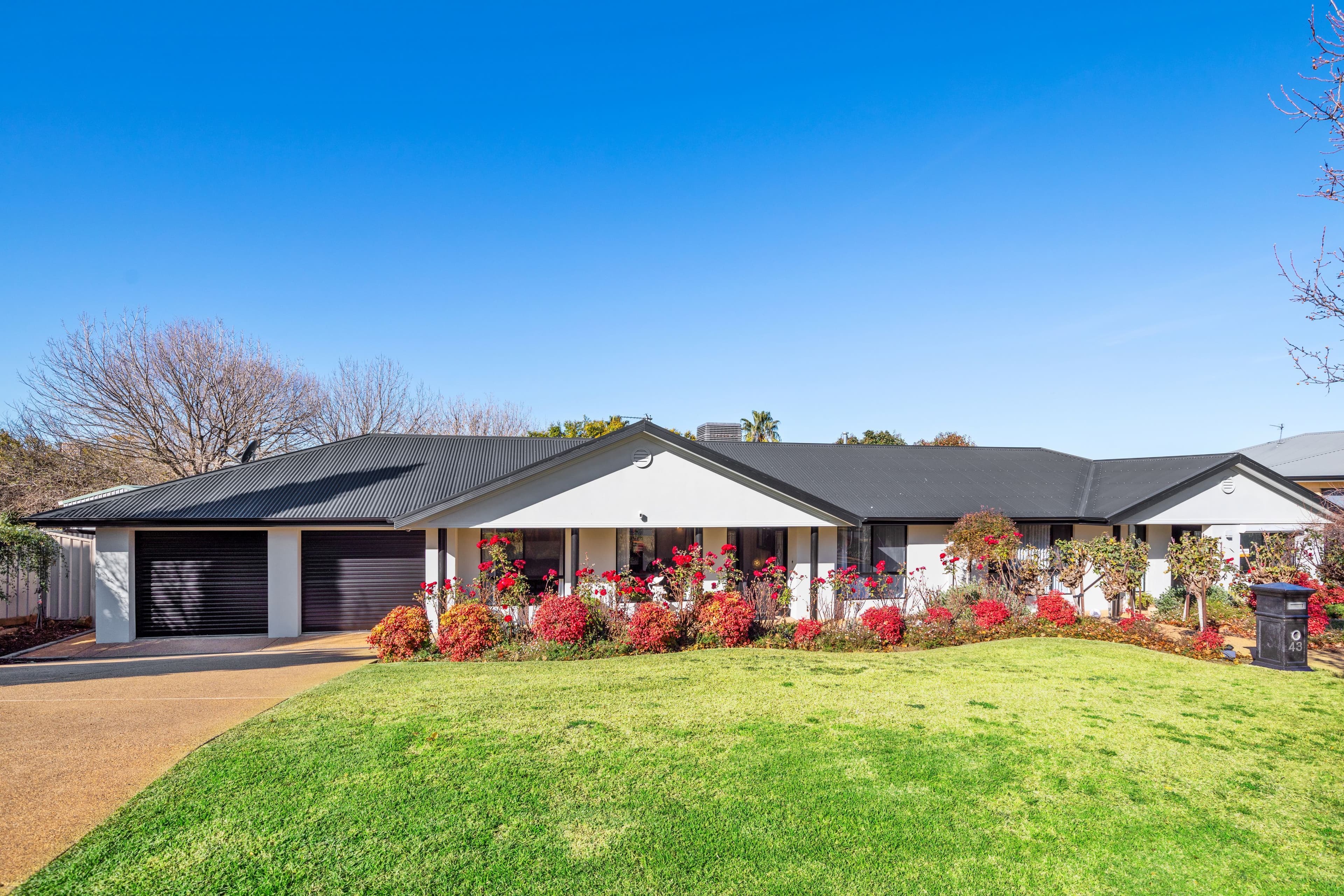 43 Horsley Street, Kooringal NSW 2650, Kooringal - Image 1