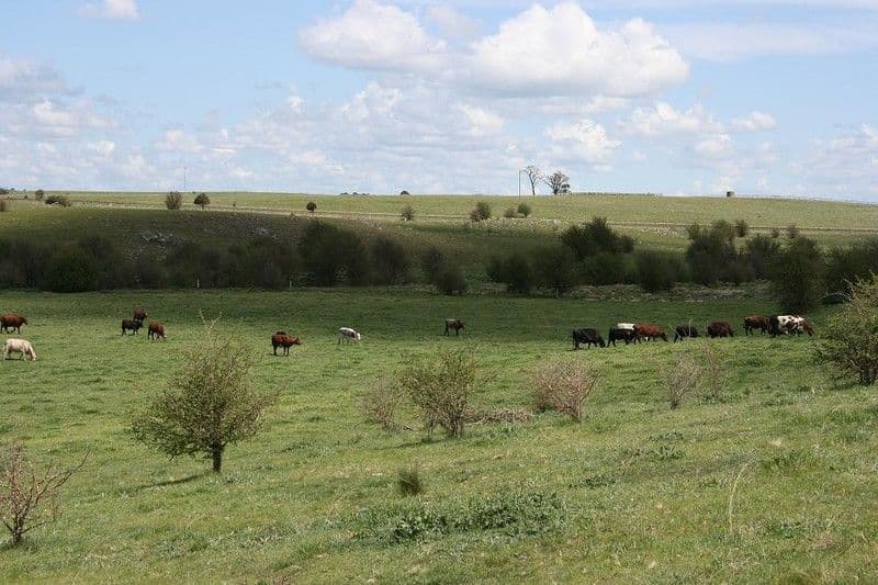 235 Chinamans Lane, GOULBURN NSW 2580, Goulburn - Thumbnail 3