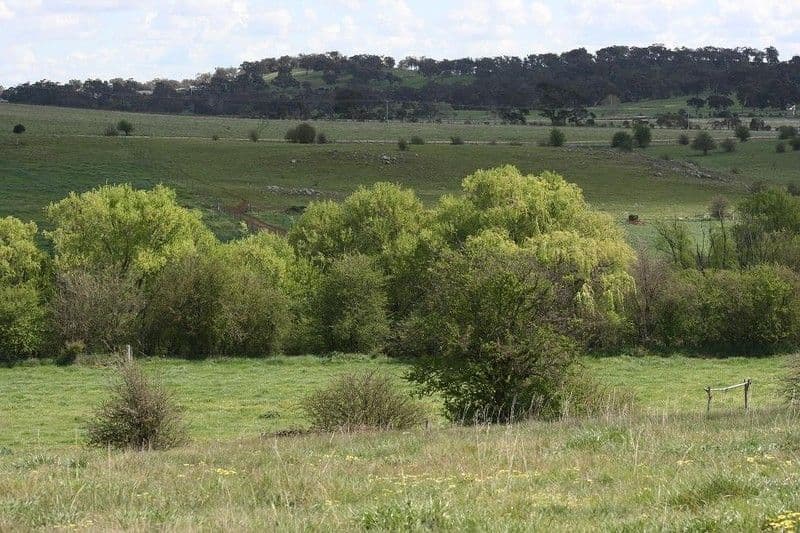 235 Chinamans Lane, GOULBURN NSW 2580, Goulburn - Thumbnail 4