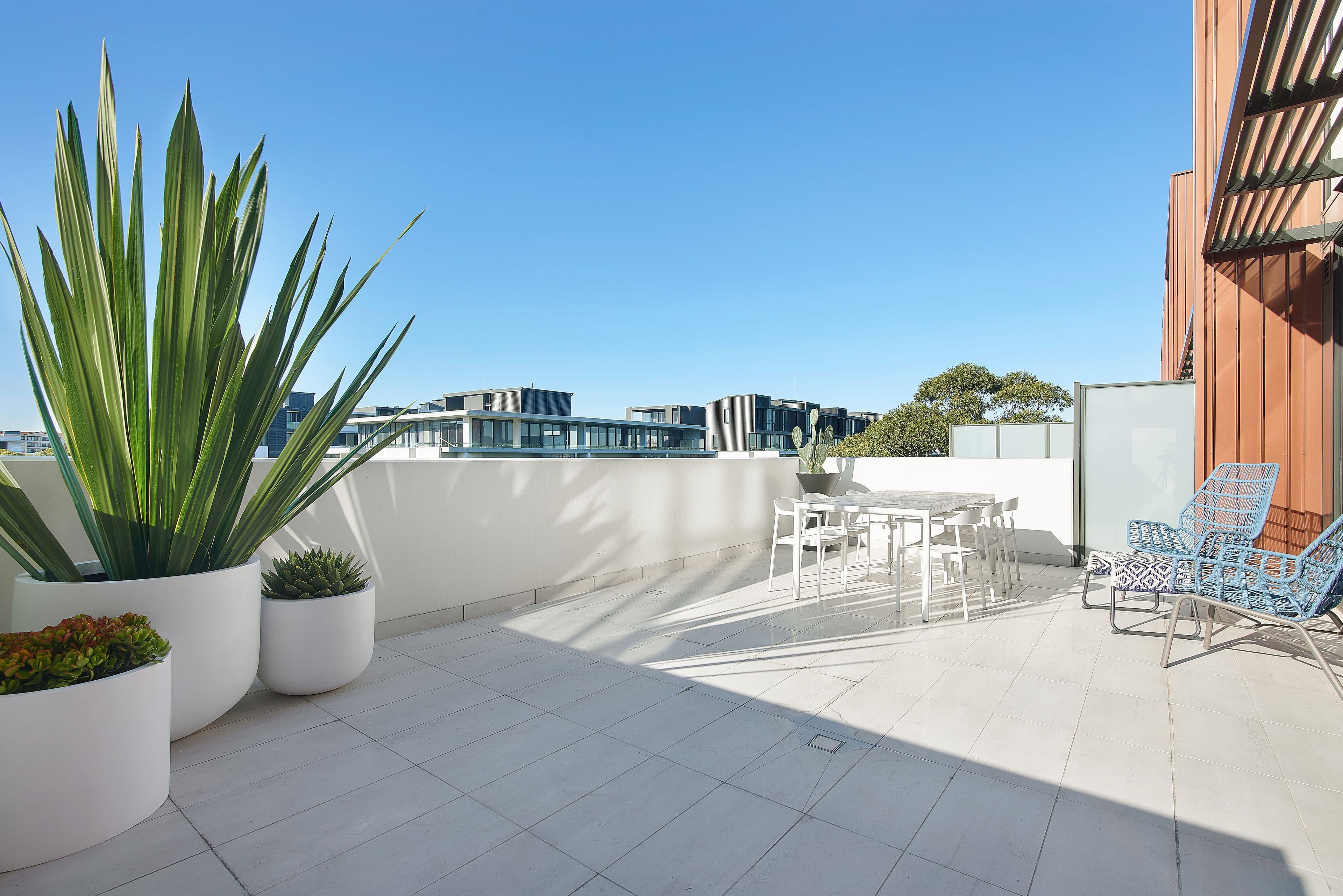 9 Rosebery Avenue, Rosebery NSW 2018, Rosebery - Thumbnail 5