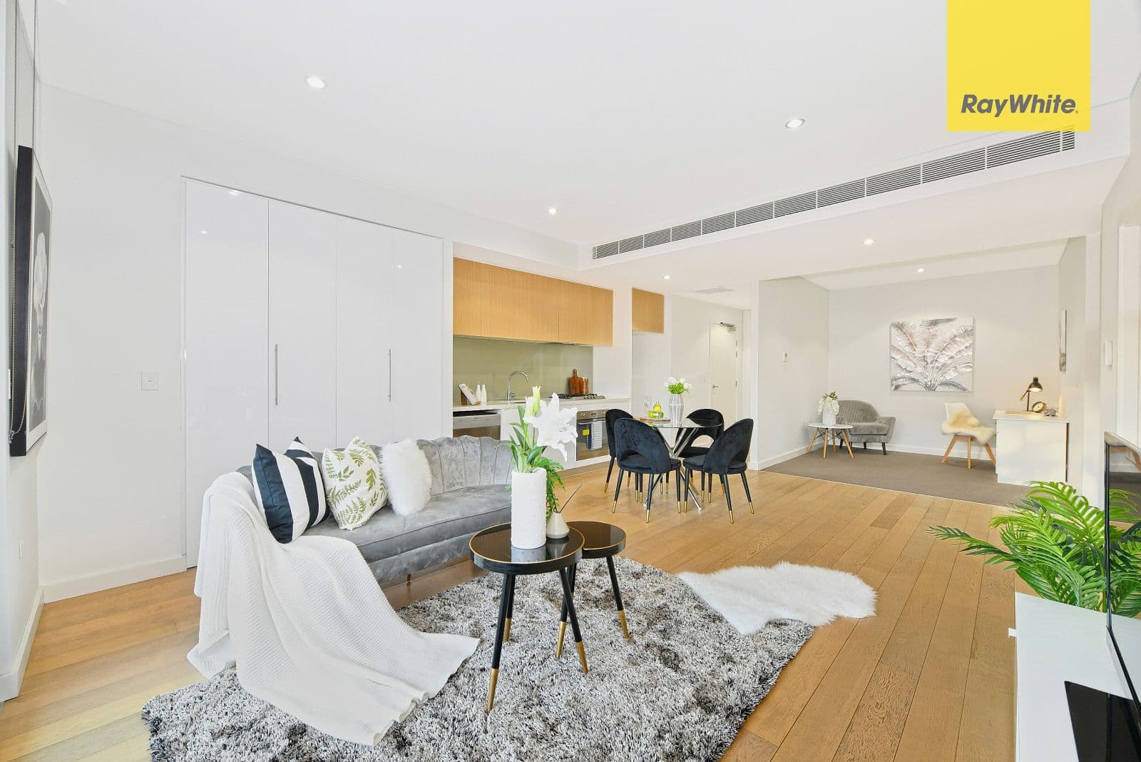 13 Angas Street, Meadowbank NSW 2114, Meadowbank - Thumbnail 3