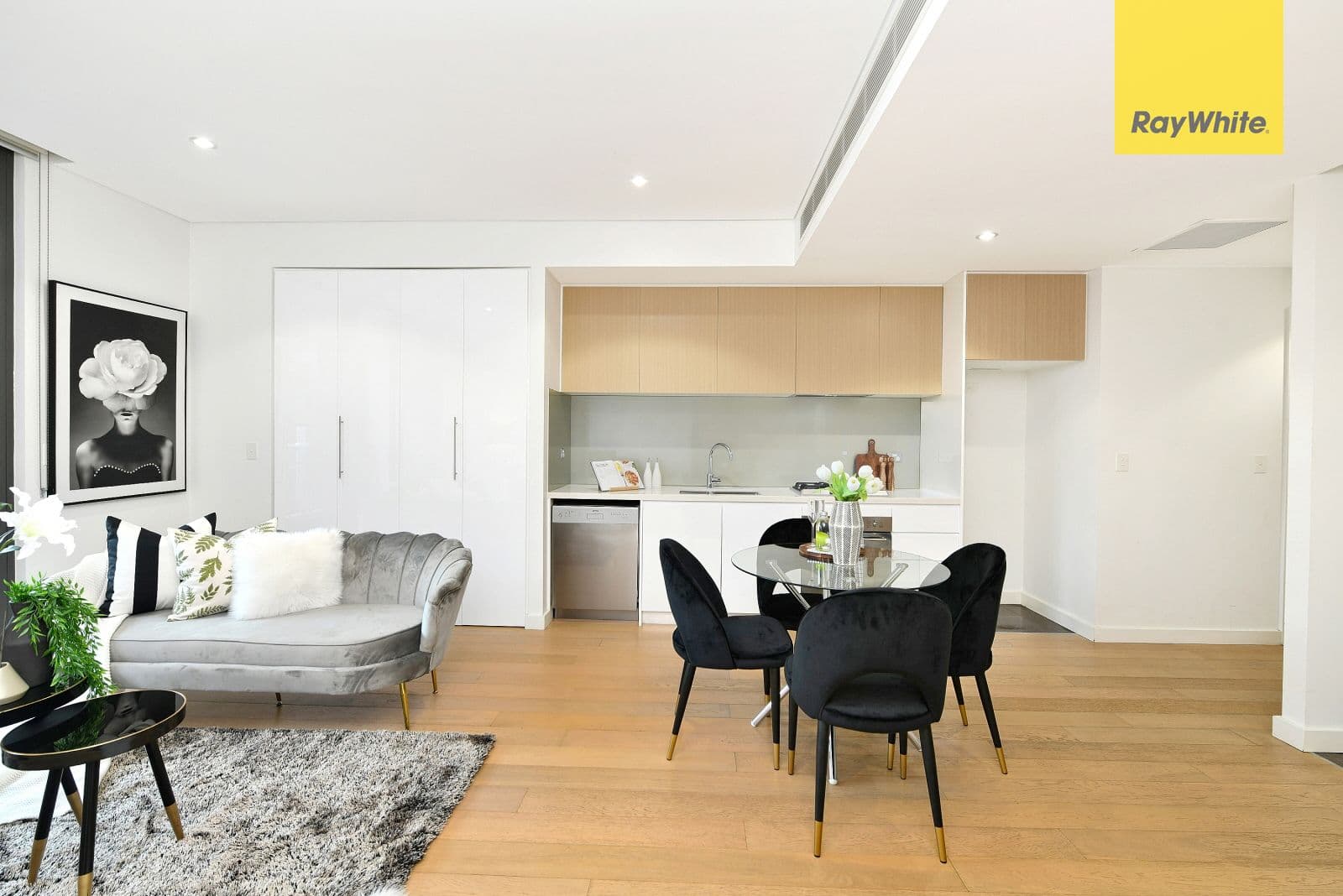 13 Angas Street, Meadowbank NSW 2114, Meadowbank - Thumbnail 4