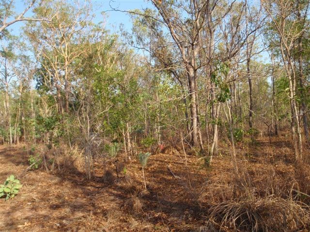 30 Fleming Road, Glenwood, QLD, 4570, Glenwood - Thumbnail 3