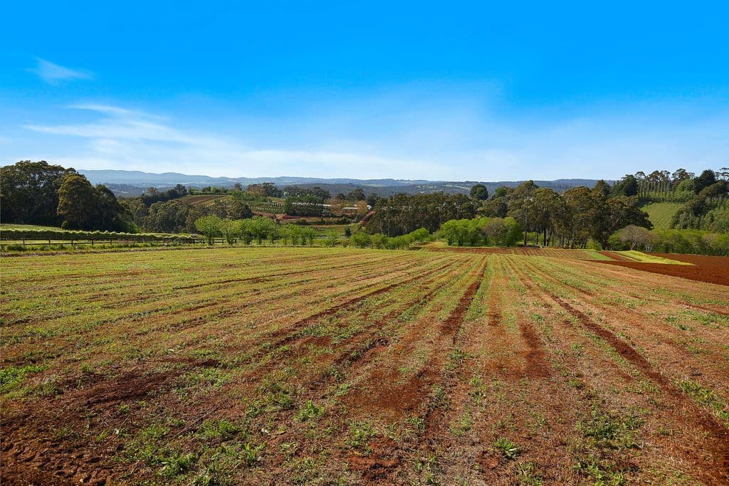 34 Wiseman Road, Monbulk VIC 3793, Monbulk - Thumbnail 2