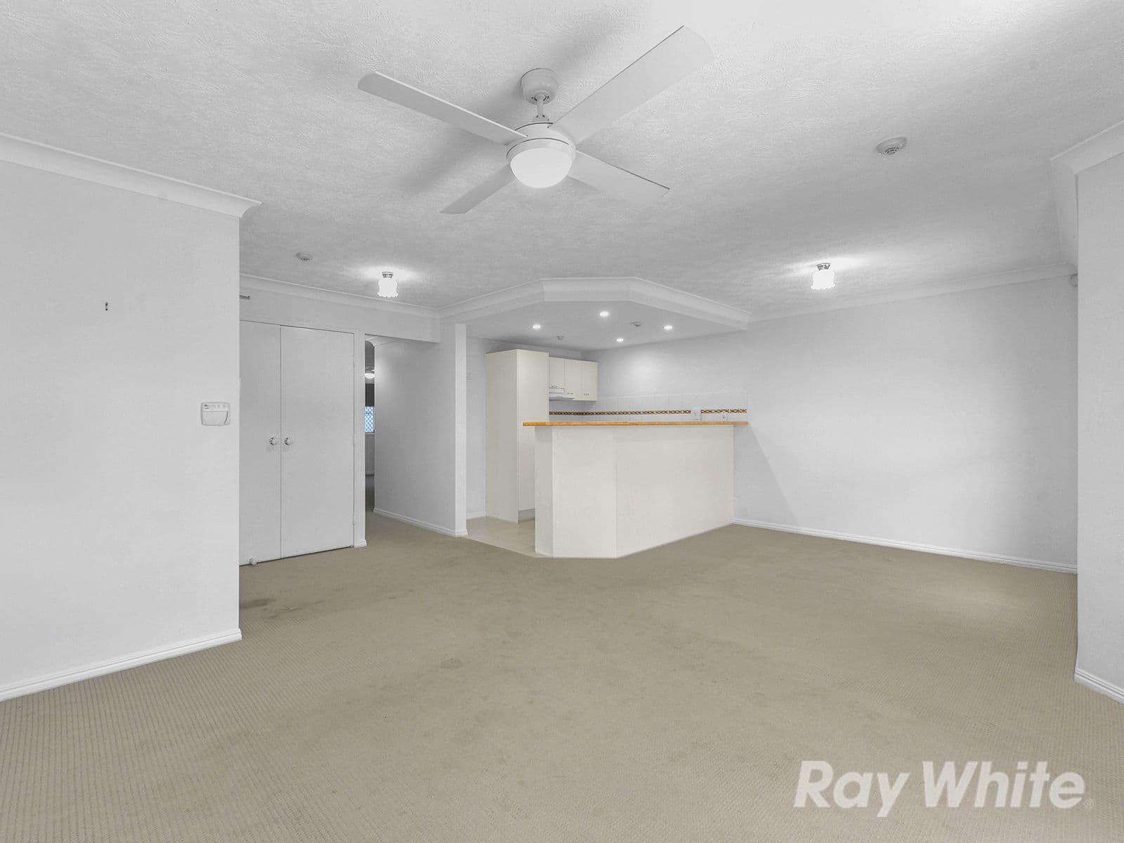 43 Carberry Street, Grange QLD 4051, Grange - Thumbnail 5