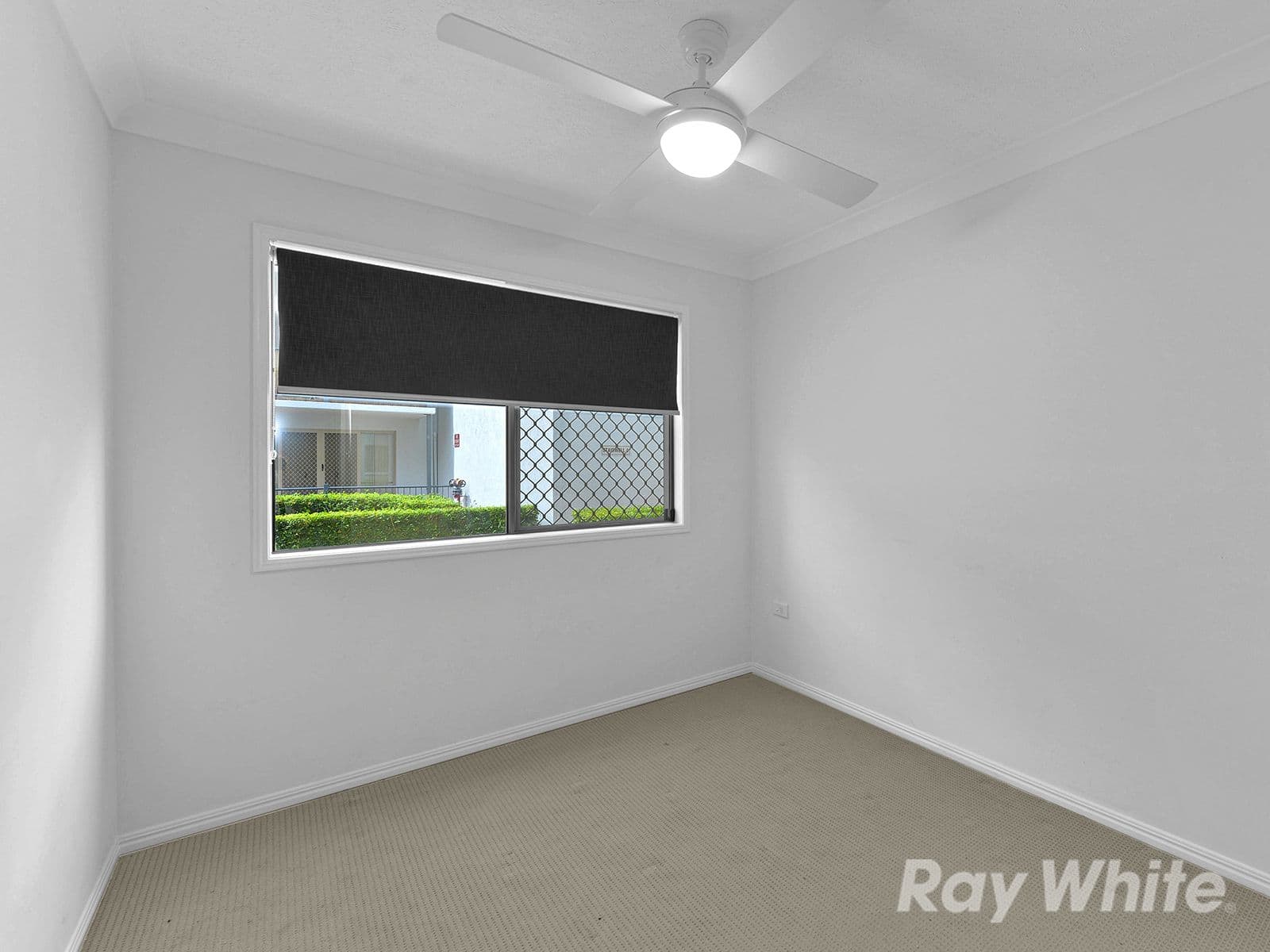 43 Carberry Street, Grange QLD 4051, Grange - Thumbnail 6