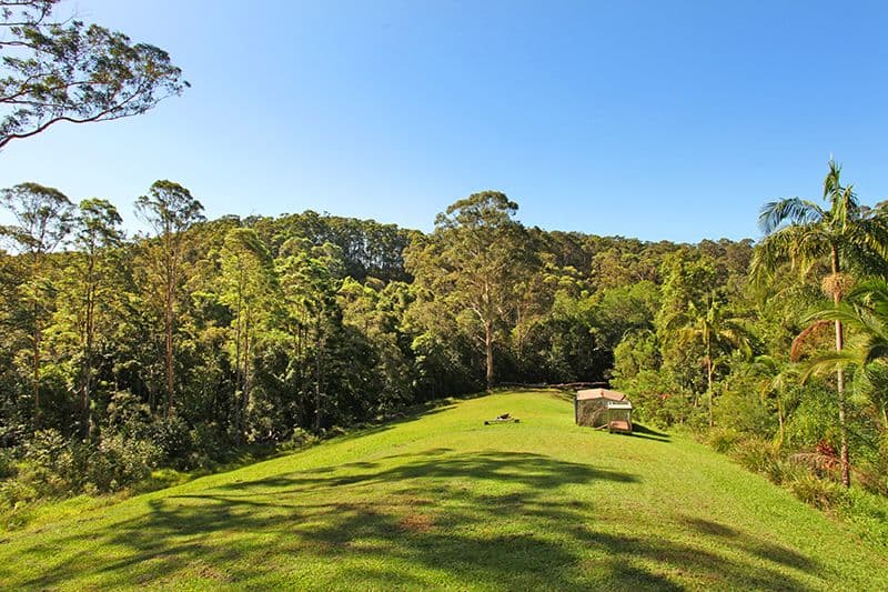36 Edwin Road, Buderim QLD 4556, Buderim - Thumbnail 2