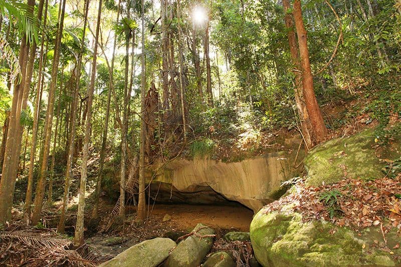 36 Edwin Road, Buderim QLD 4556, Buderim - Thumbnail 7