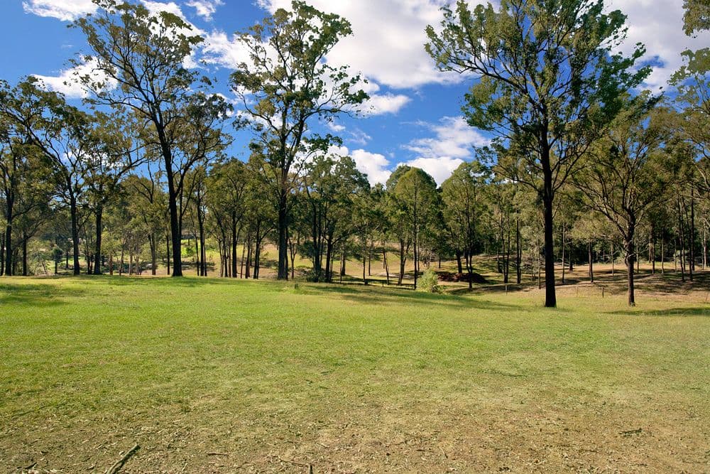 39 Schofield Road, PITT TOWN NSW 2756, Pitt Town - Image 1