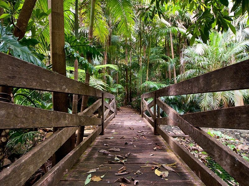36 Bartle Road, TAMBORINE MOUNTAIN QLD 4272, Tamborine Mountain - Thumbnail 4