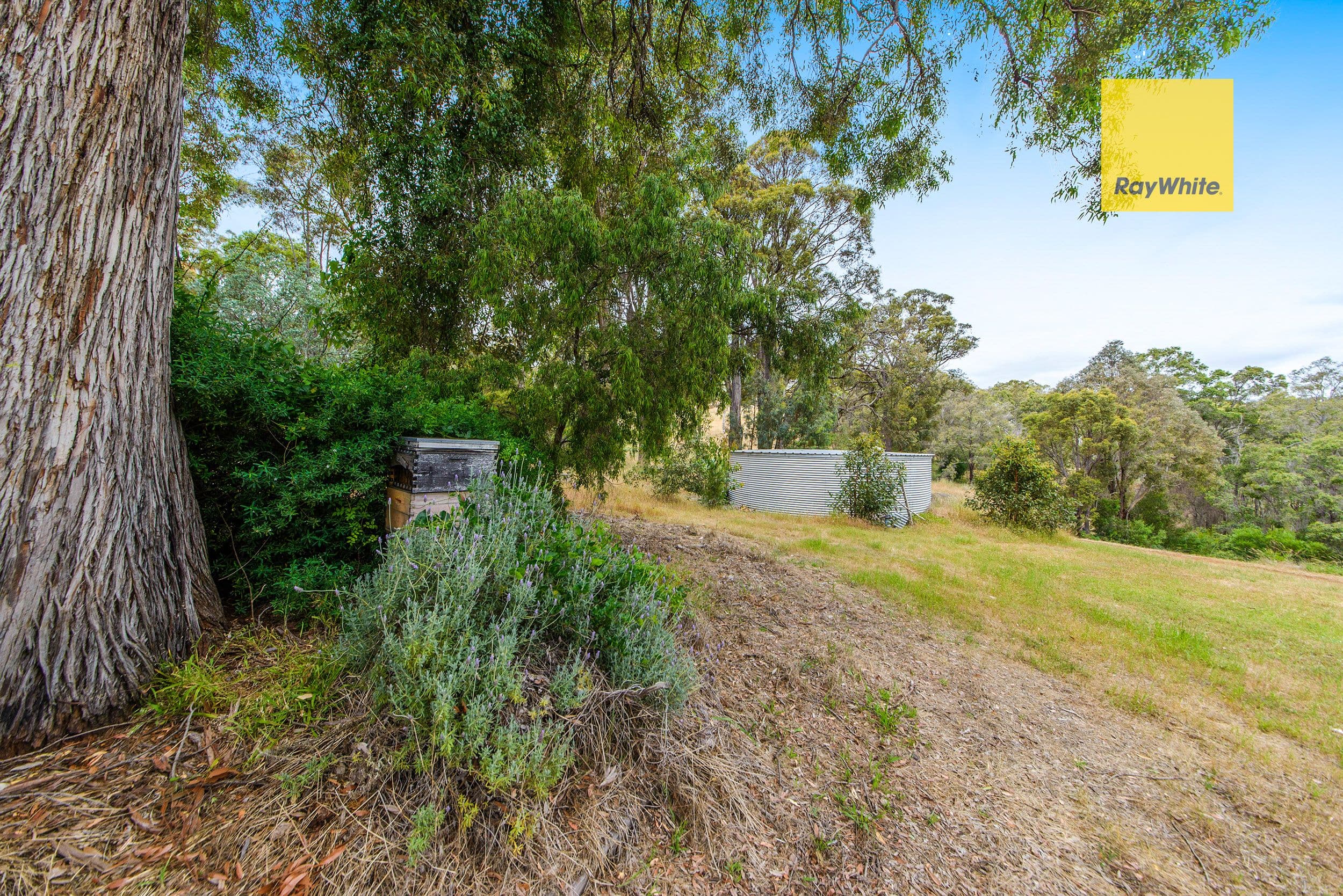 6 Hereford Heights, Bridgetown WA 6255, Bridgetown - Thumbnail 6