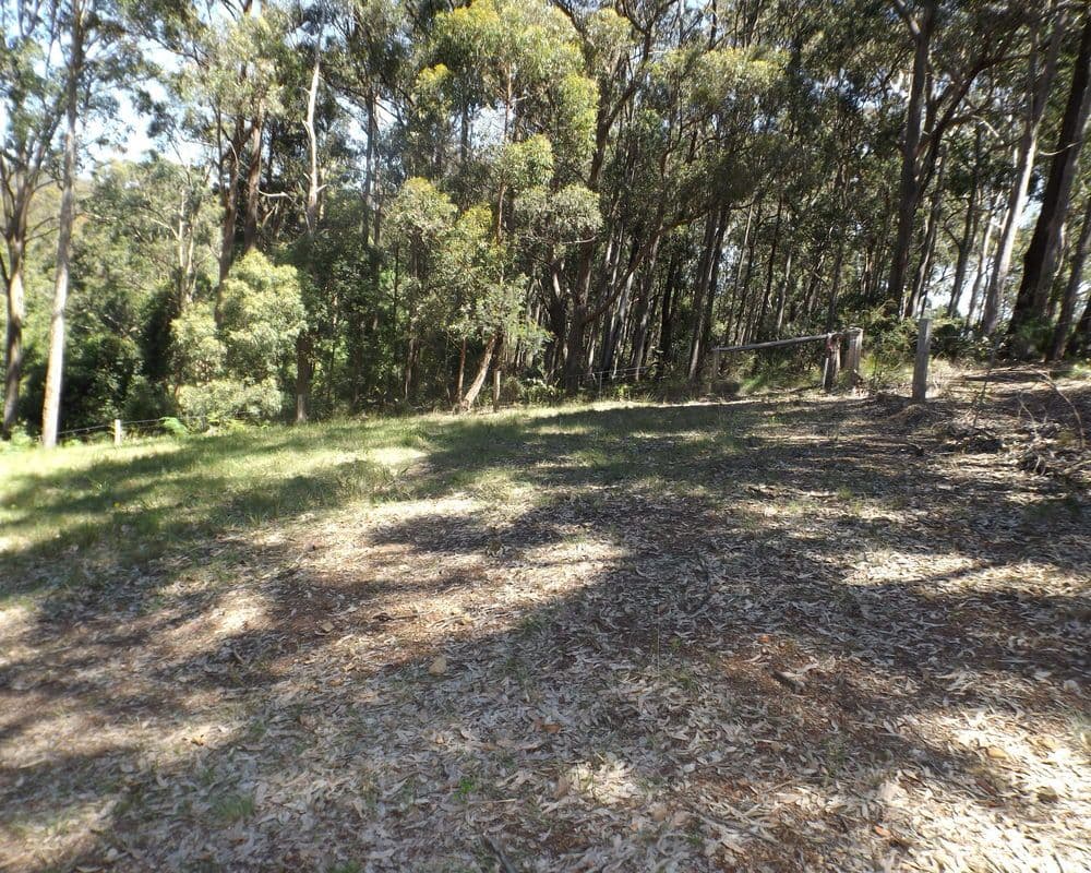 Lot 12 Worthy Drive, Malua Bay NSW 2536, Malua Bay - Image 1