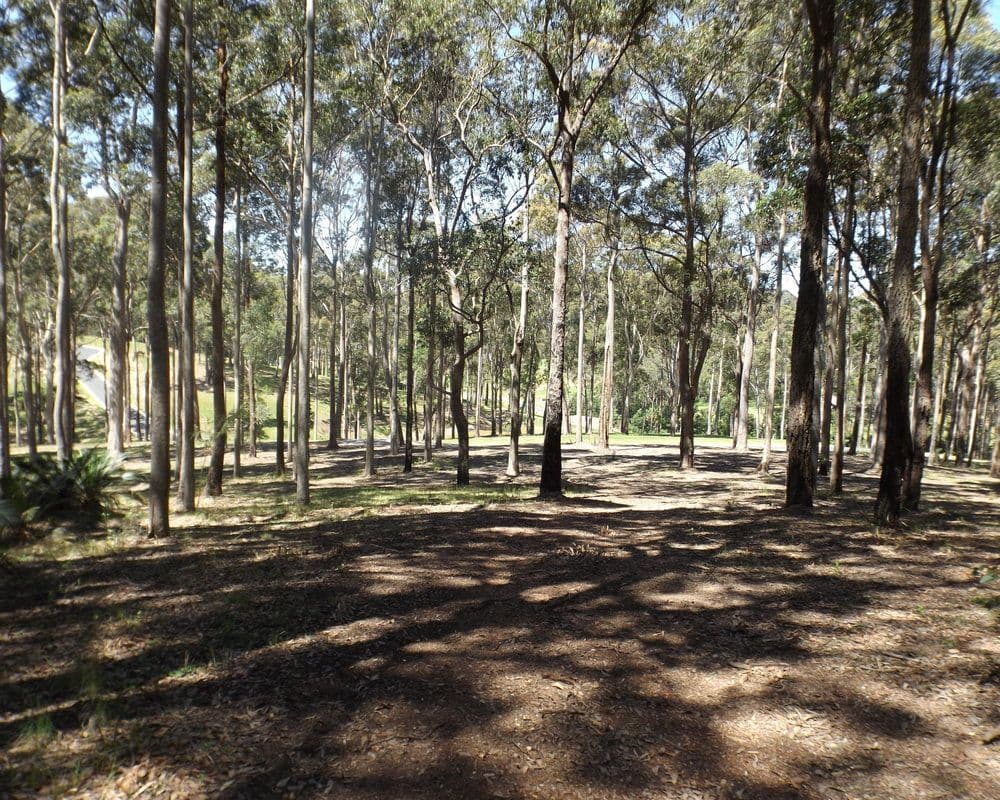 Lot 12 Worthy Drive, Malua Bay NSW 2536, Malua Bay - Thumbnail 2