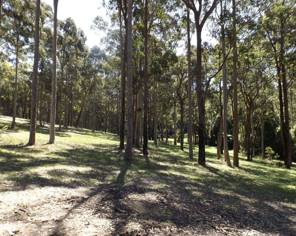 Lot 12 Worthy Drive, Malua Bay NSW 2536, Malua Bay - Thumbnail 5
