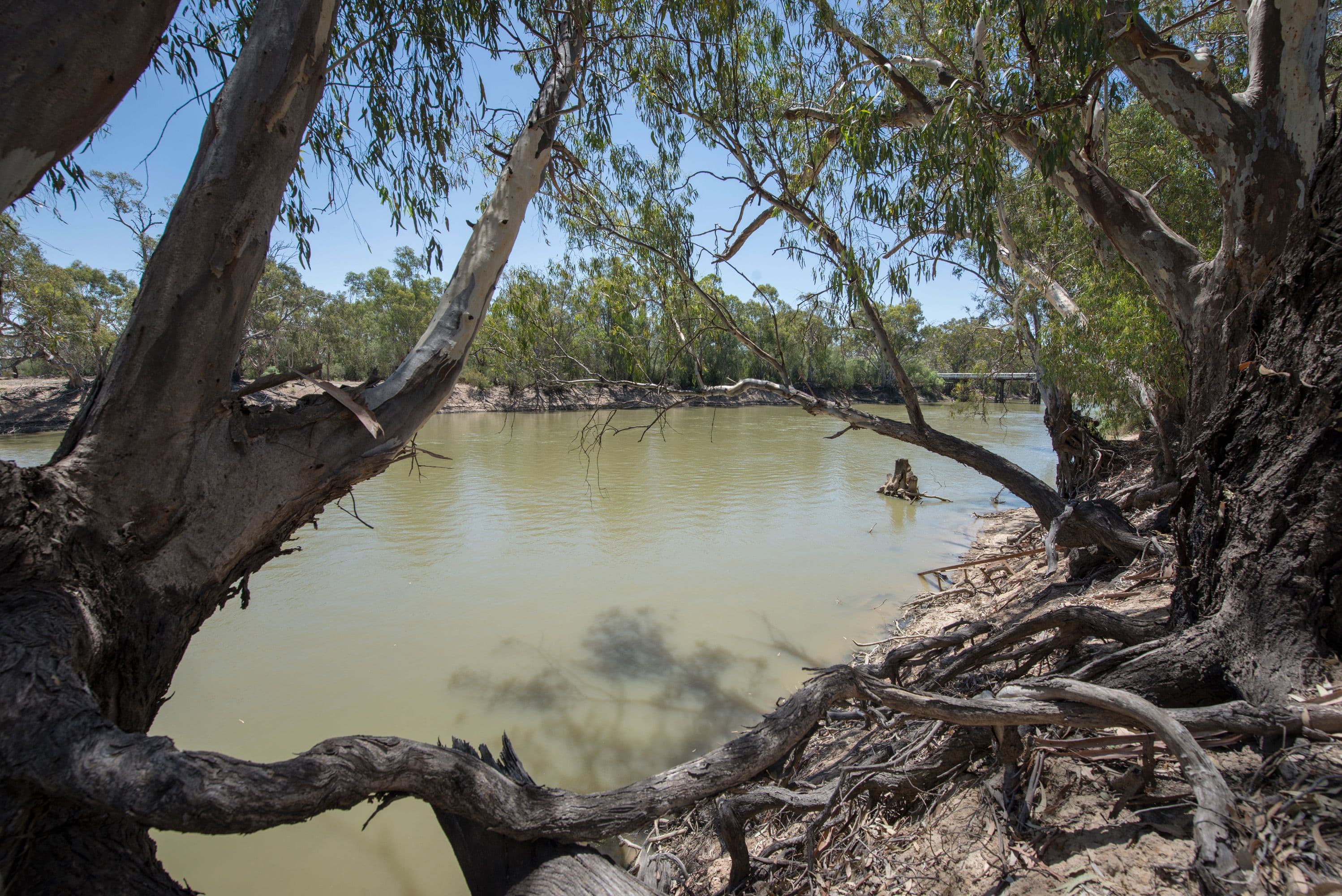  38 Murray Street, Tooleybuc NSW 2736, Tooleybuc - Image 1