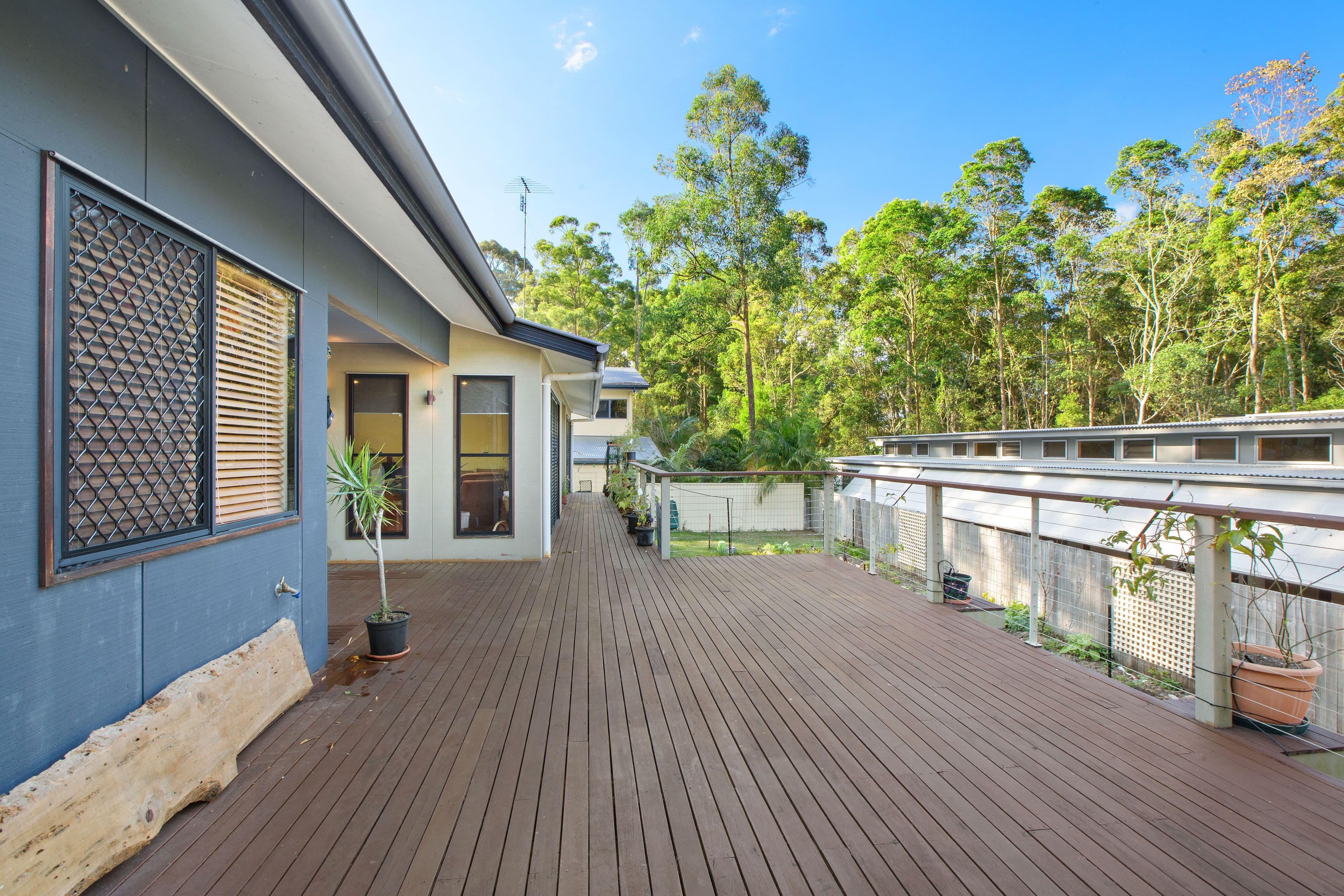 17 Tommys Court, Buderim QLD 4556, Buderim - Thumbnail 5