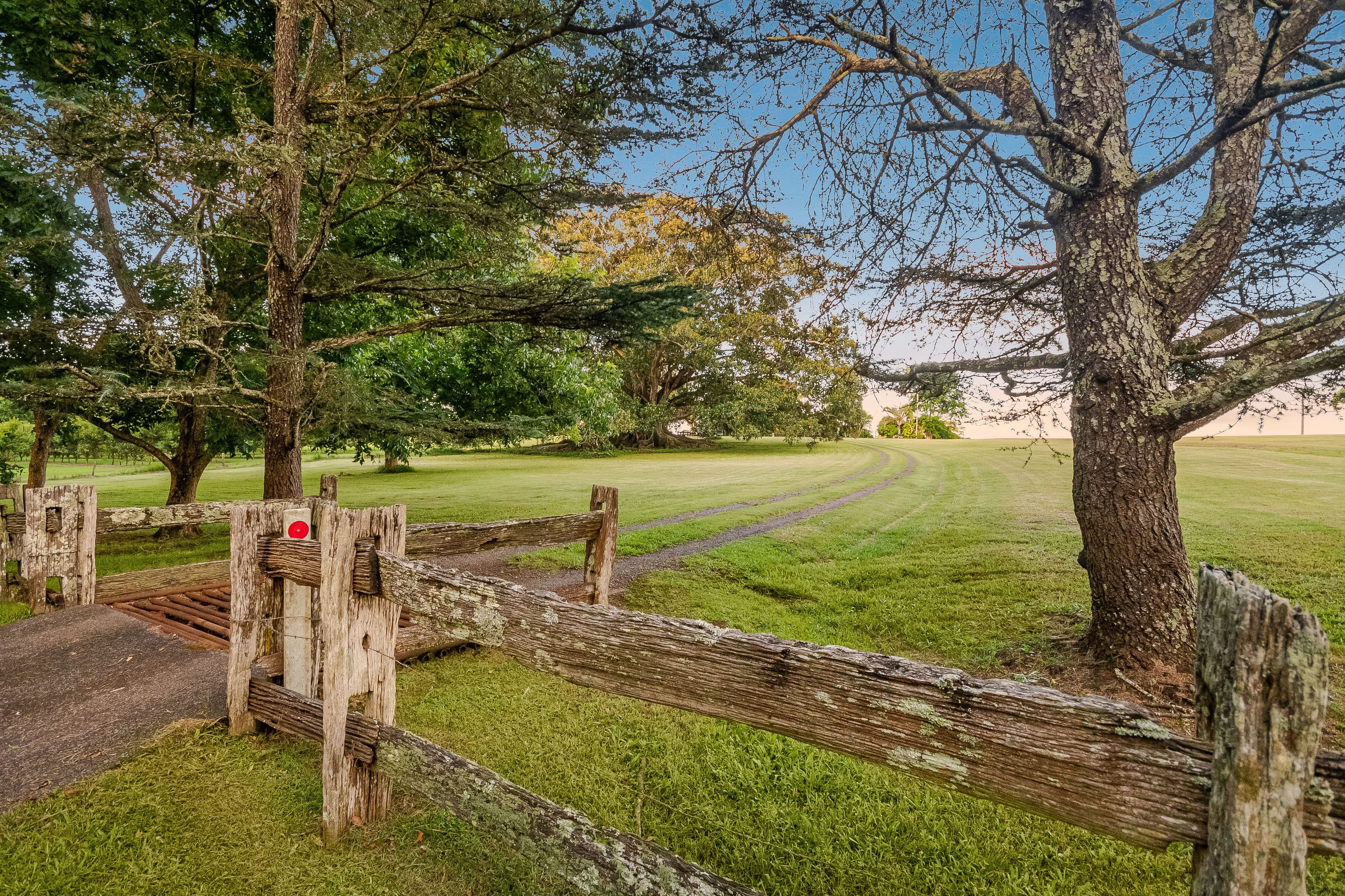 28 Springvale Road, Eureka NSW 2480, Eureka - Thumbnail 3