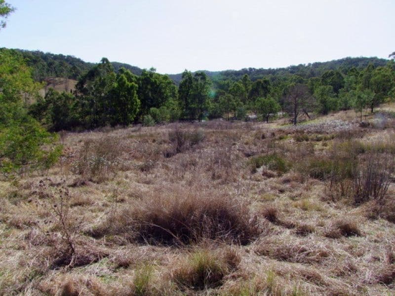 Lot 105 Putty Road, HOWES VALLEY NSW 2330, Howes Valley - Thumbnail 4