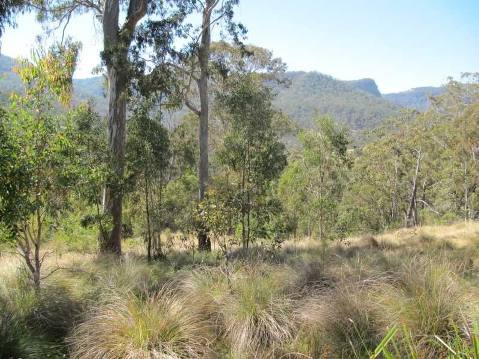 Condamine River Road QLD 4373, Condamine River Road - Thumbnail 4