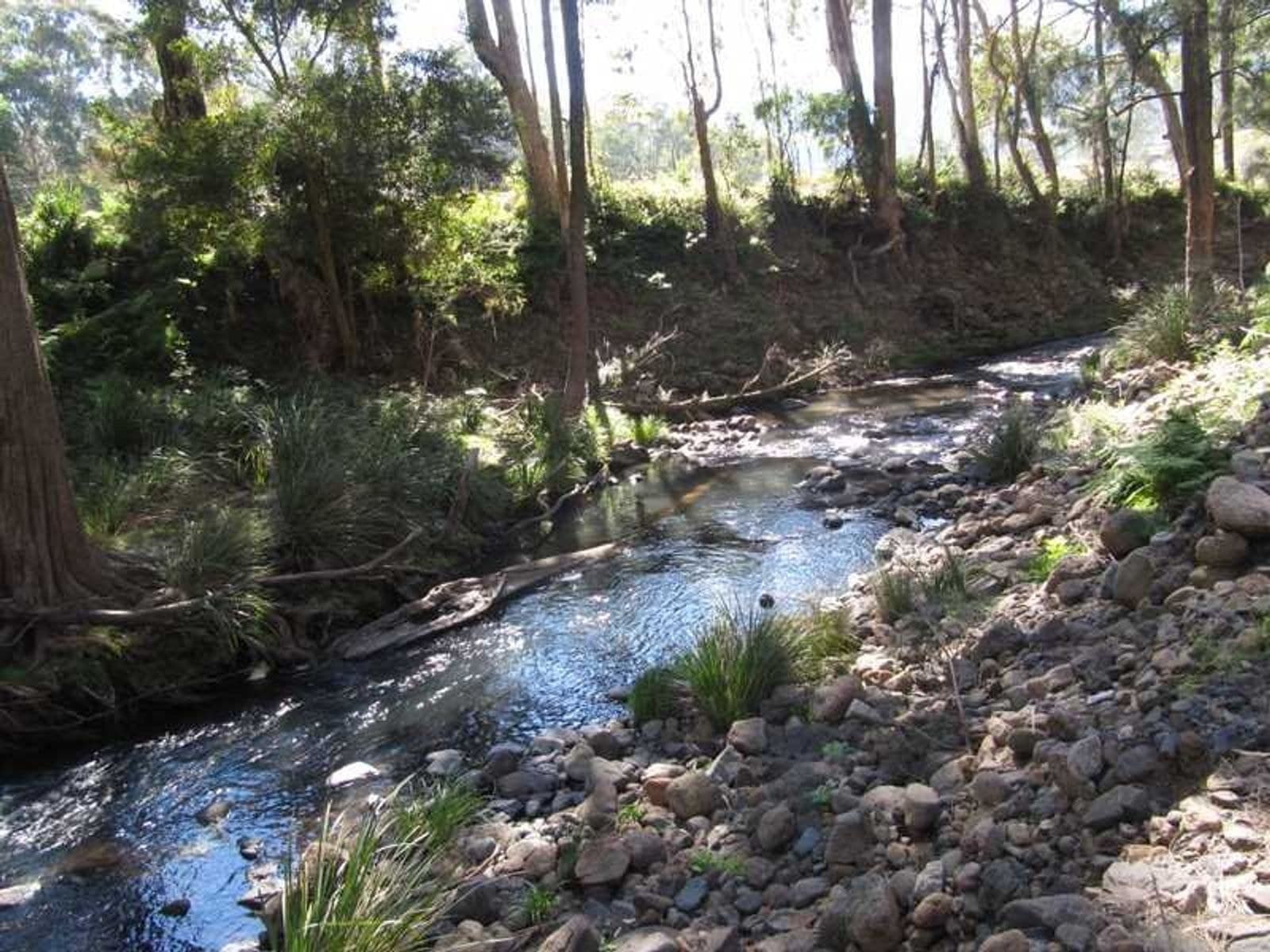 Condamine River Road QLD 4373, Condamine River Road - Thumbnail 5