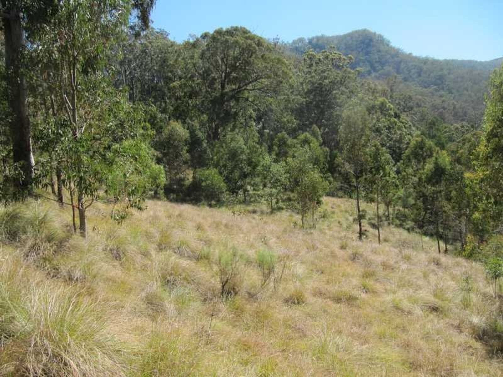 Condamine River Road QLD 4373, Condamine River Road - Thumbnail 7