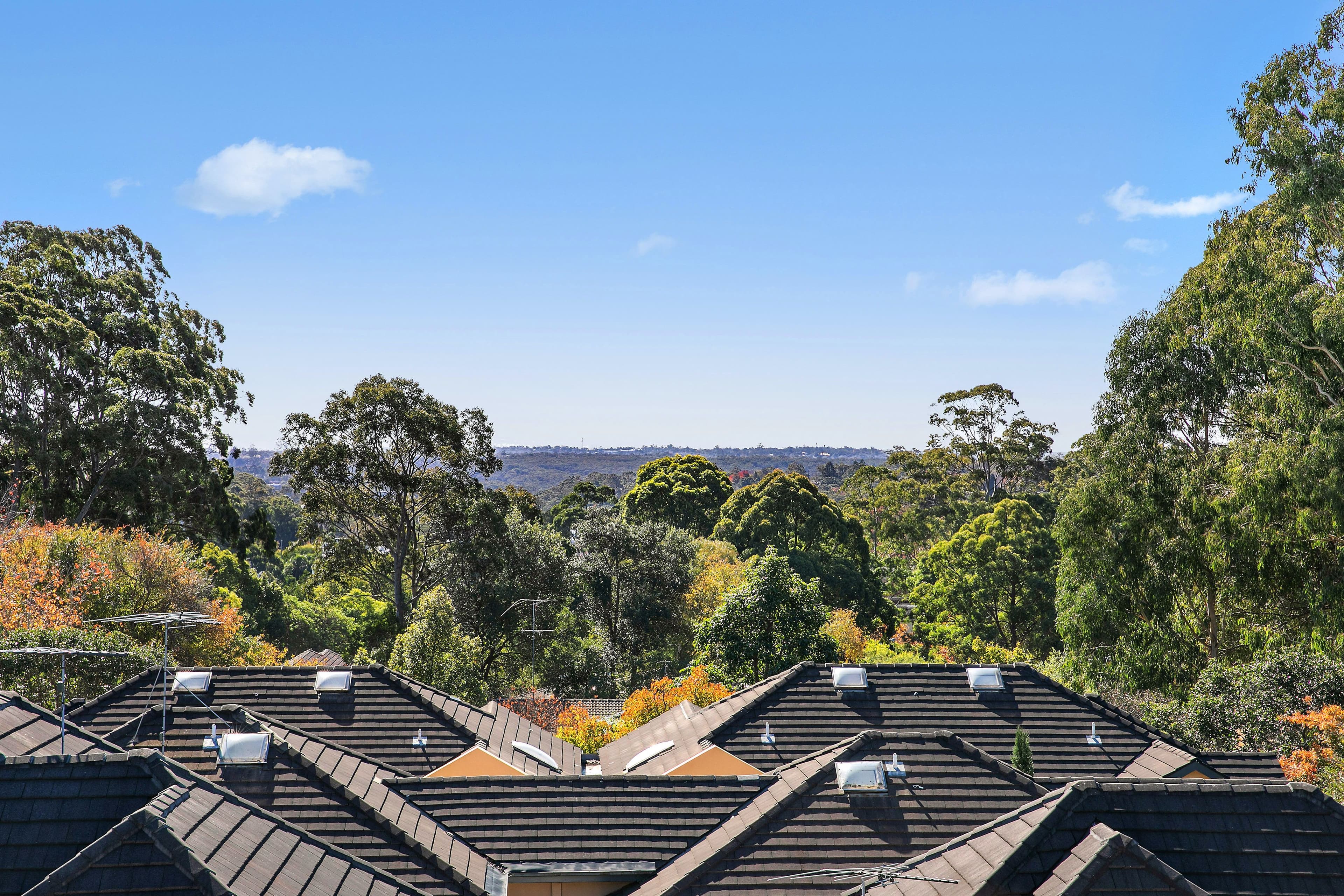 1625 Pacific Highway, Wahroonga NSW 2076, Wahroonga - Thumbnail 4