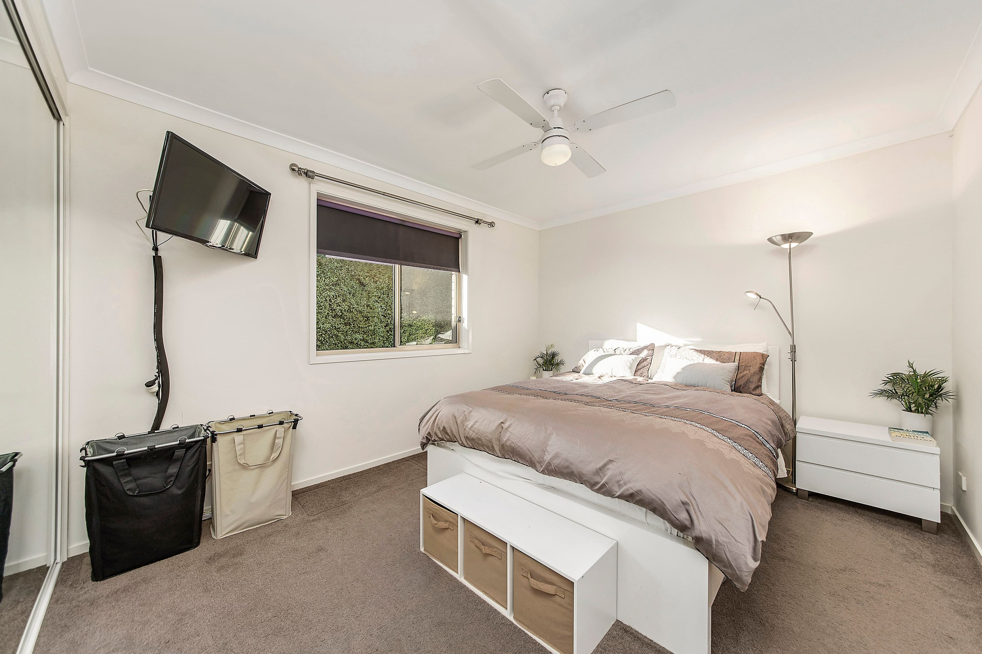 19 Isbister Street, Macgregor ACT 2615, Macgregor - Thumbnail 5
