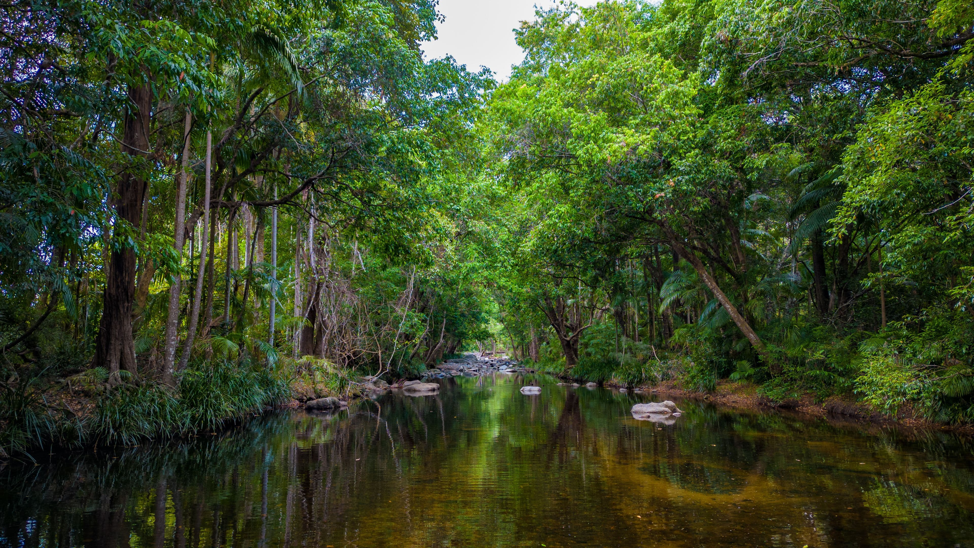 65 Kilcoy Lane, Conondale QLD 4552, Conondale - Thumbnail 3