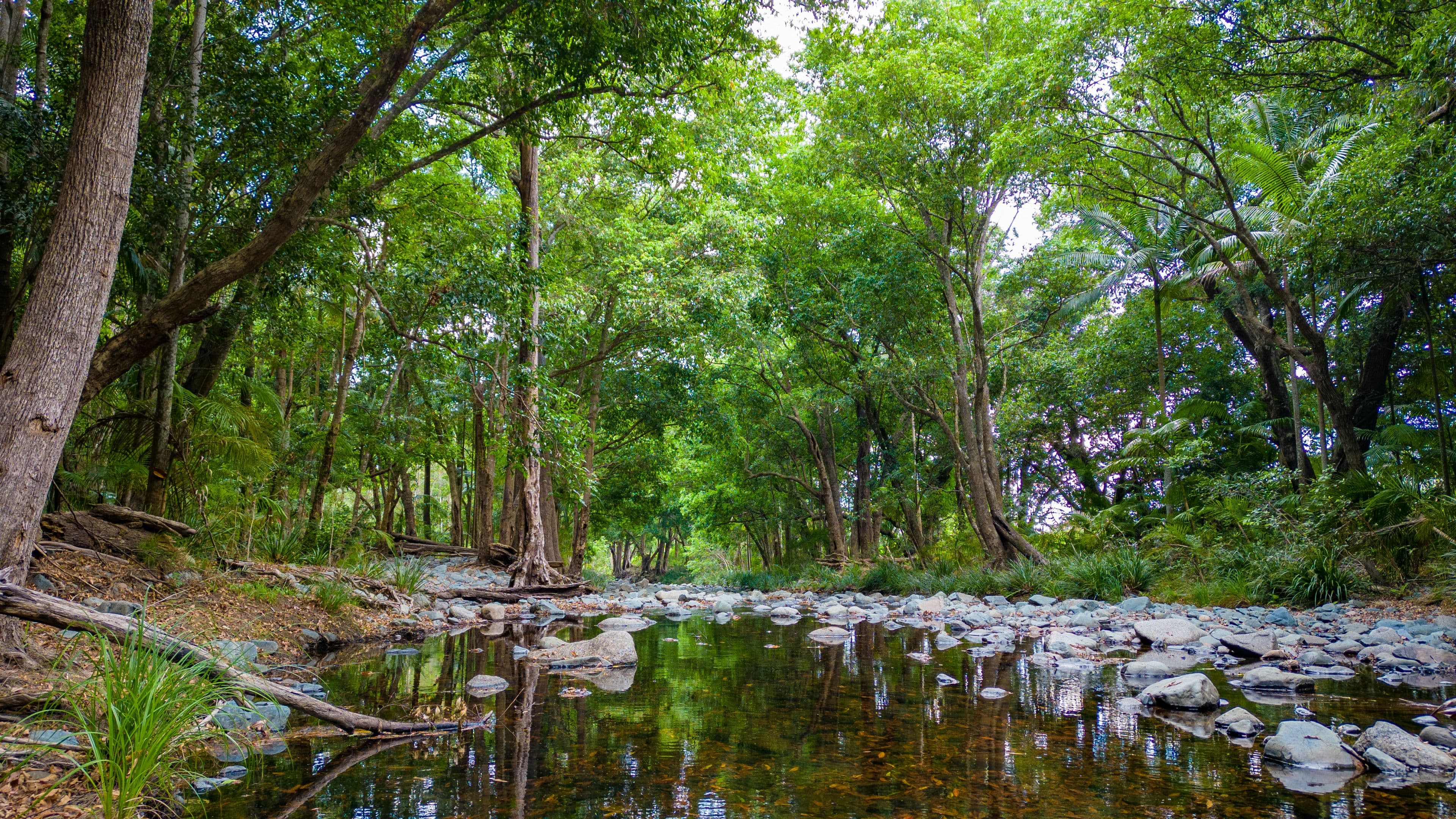 65 Kilcoy Lane, Conondale QLD 4552, Conondale - Thumbnail 4