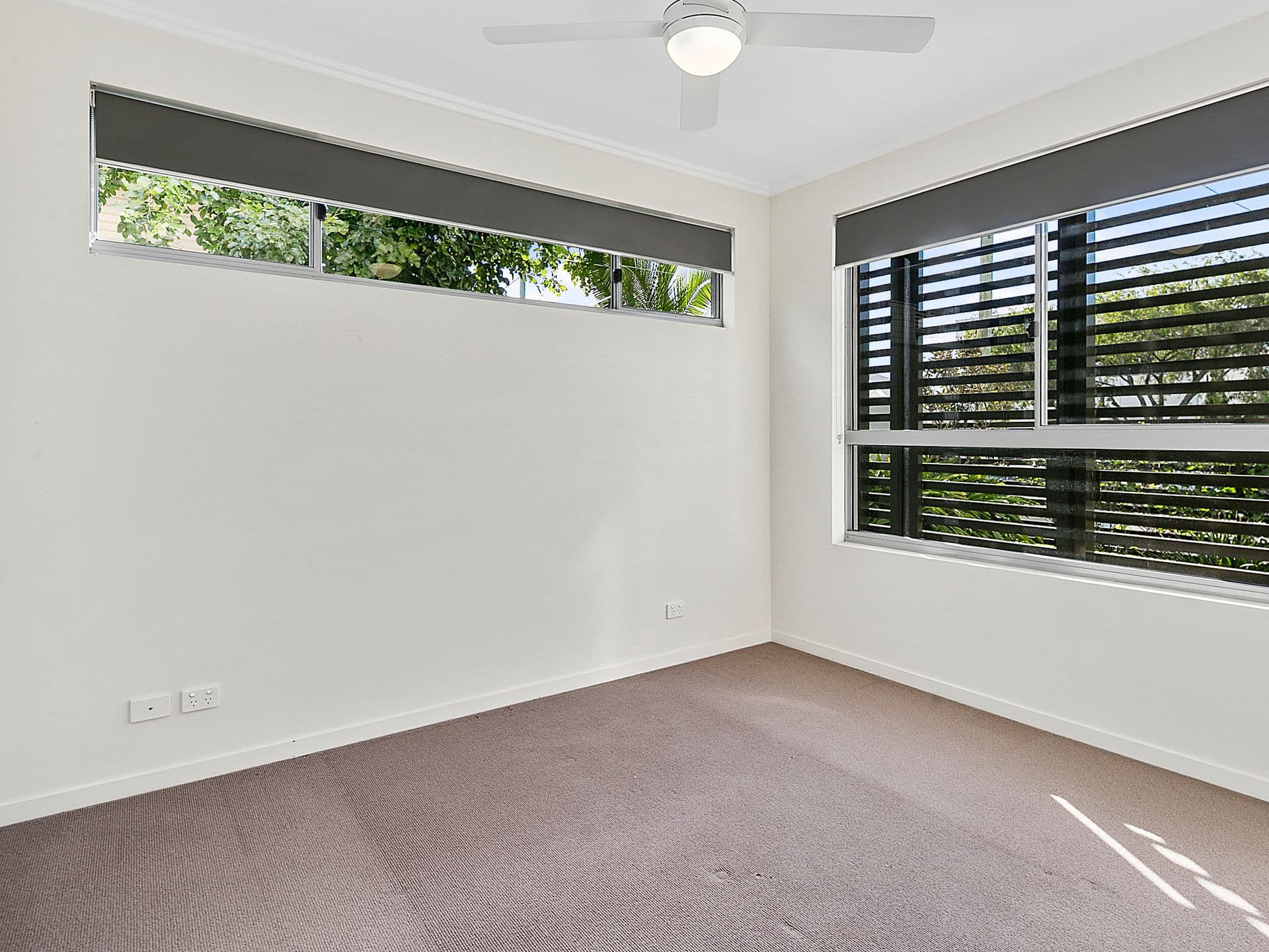 64 Barton Road, Hawthorne QLD 4171, Hawthorne - Thumbnail 5