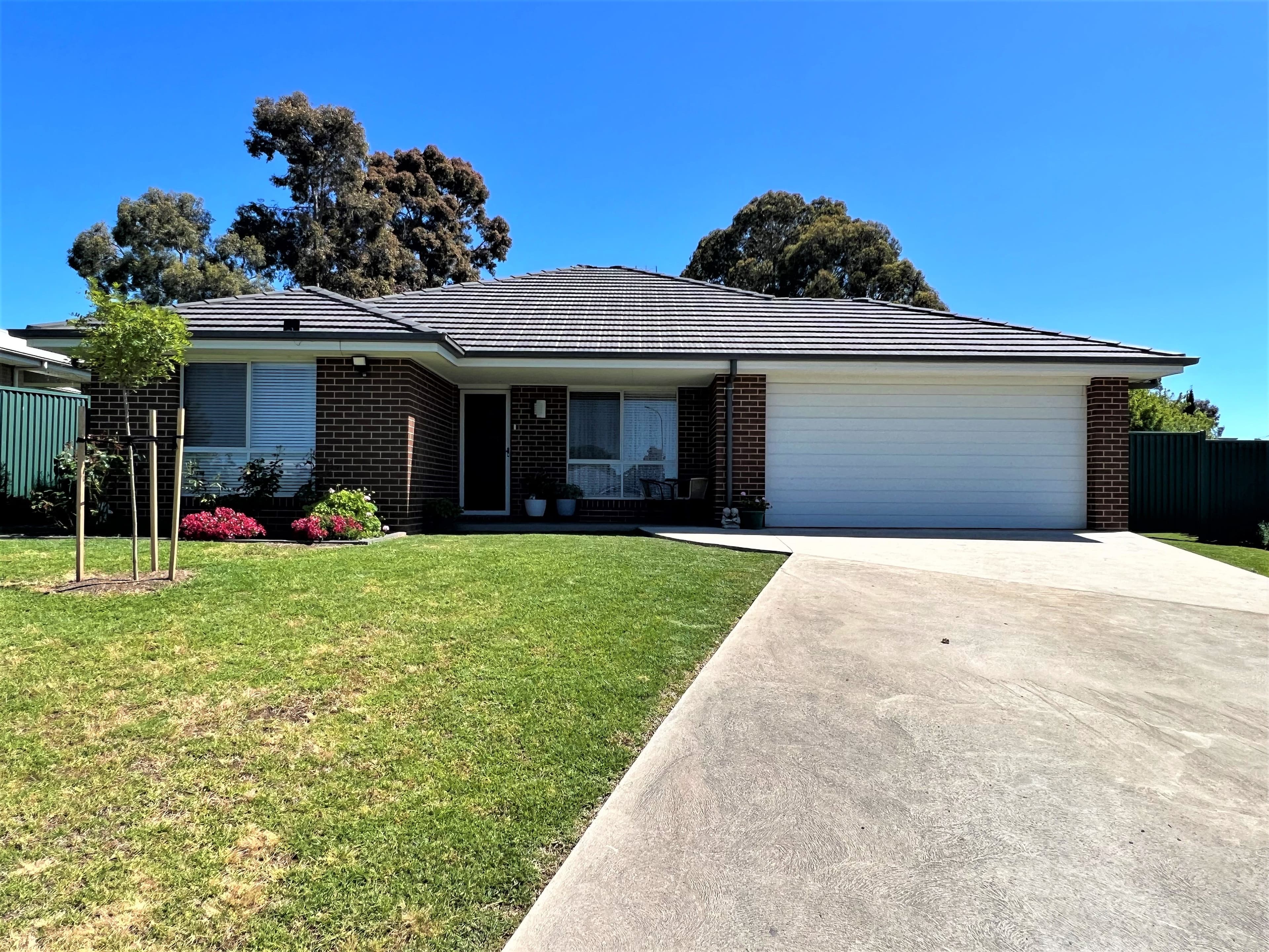 11 Molloy Place, Young NSW 2594, Young - Image 1