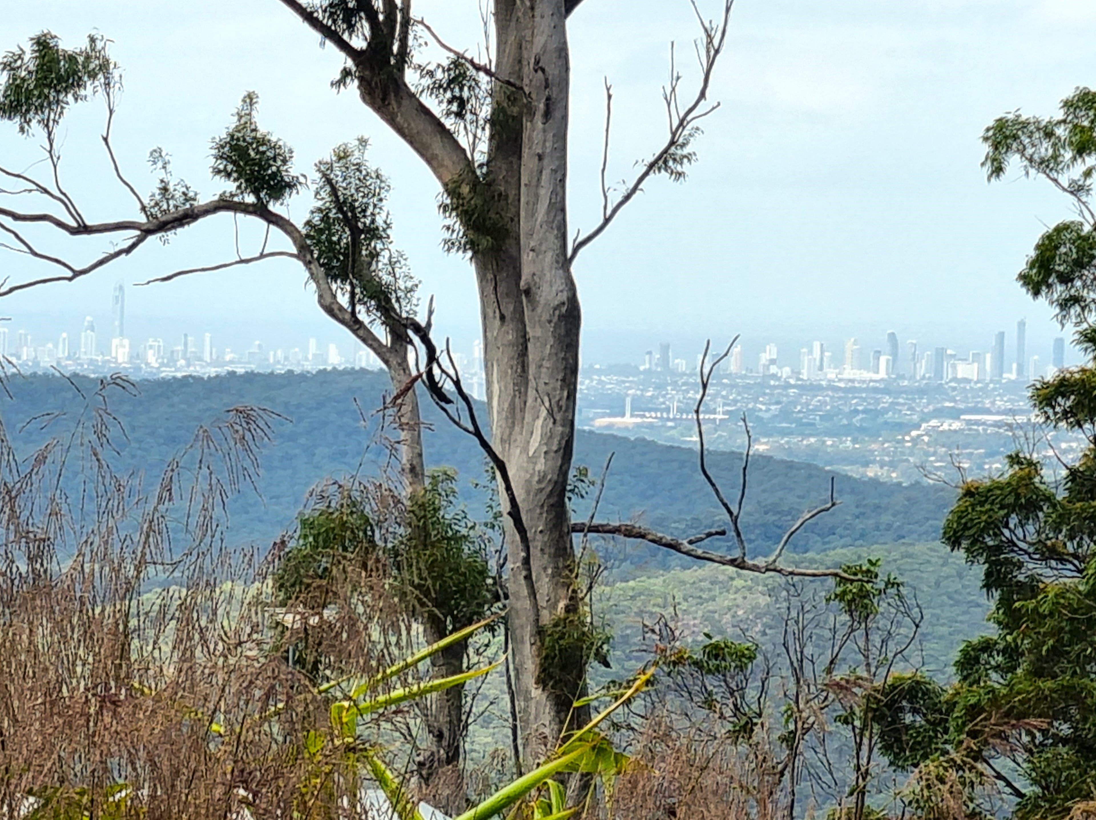 440-444 Henri Robert Drive, Tamborine Mountain QLD 4272, Tamborine Mountain - Thumbnail 2