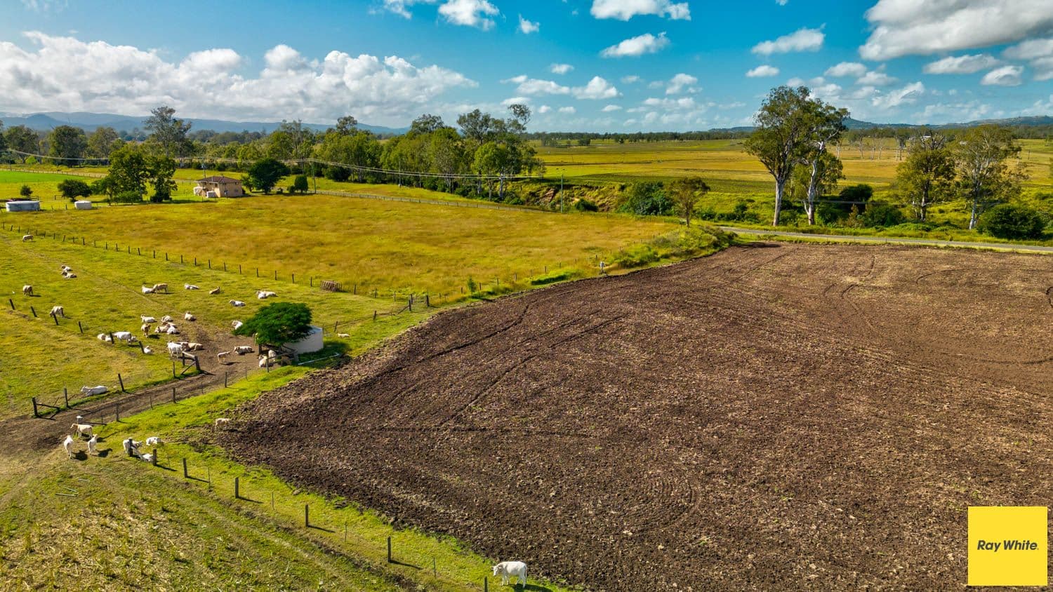 409 Mahons Road, Coominya QLD 4311, Coominya - Thumbnail 6