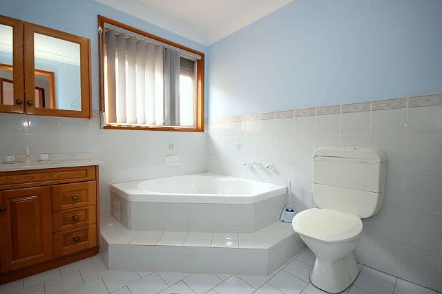 5 Terpentine Place, YAGOONA NSW 2199, Yagoona - Thumbnail 6
