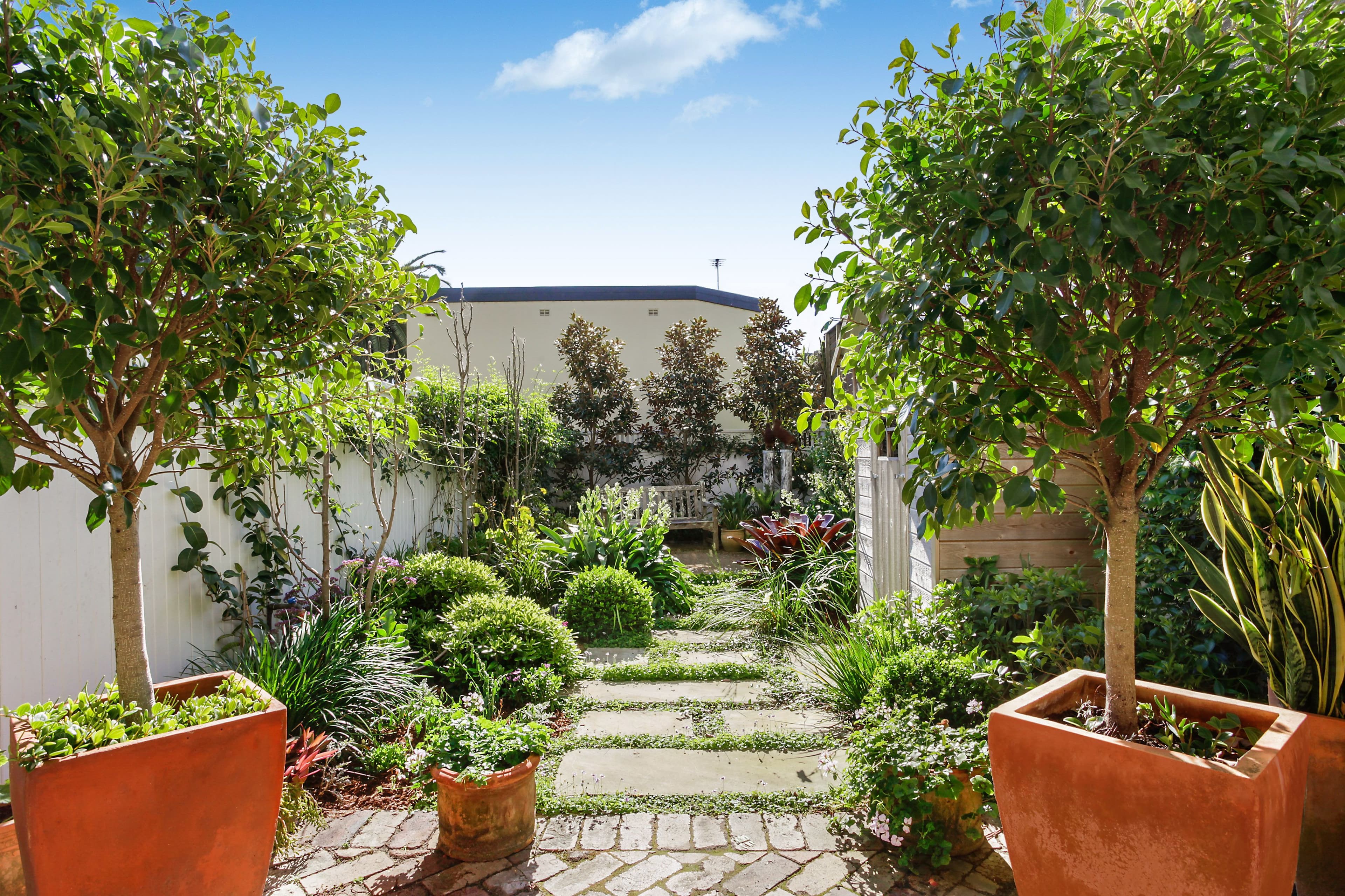 4 Gap Road, Watsons Bay NSW 2030, Watsons Bay - Thumbnail 6