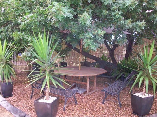 59 Soutter Street, ROMA QLD 4455, Roma - Image 1