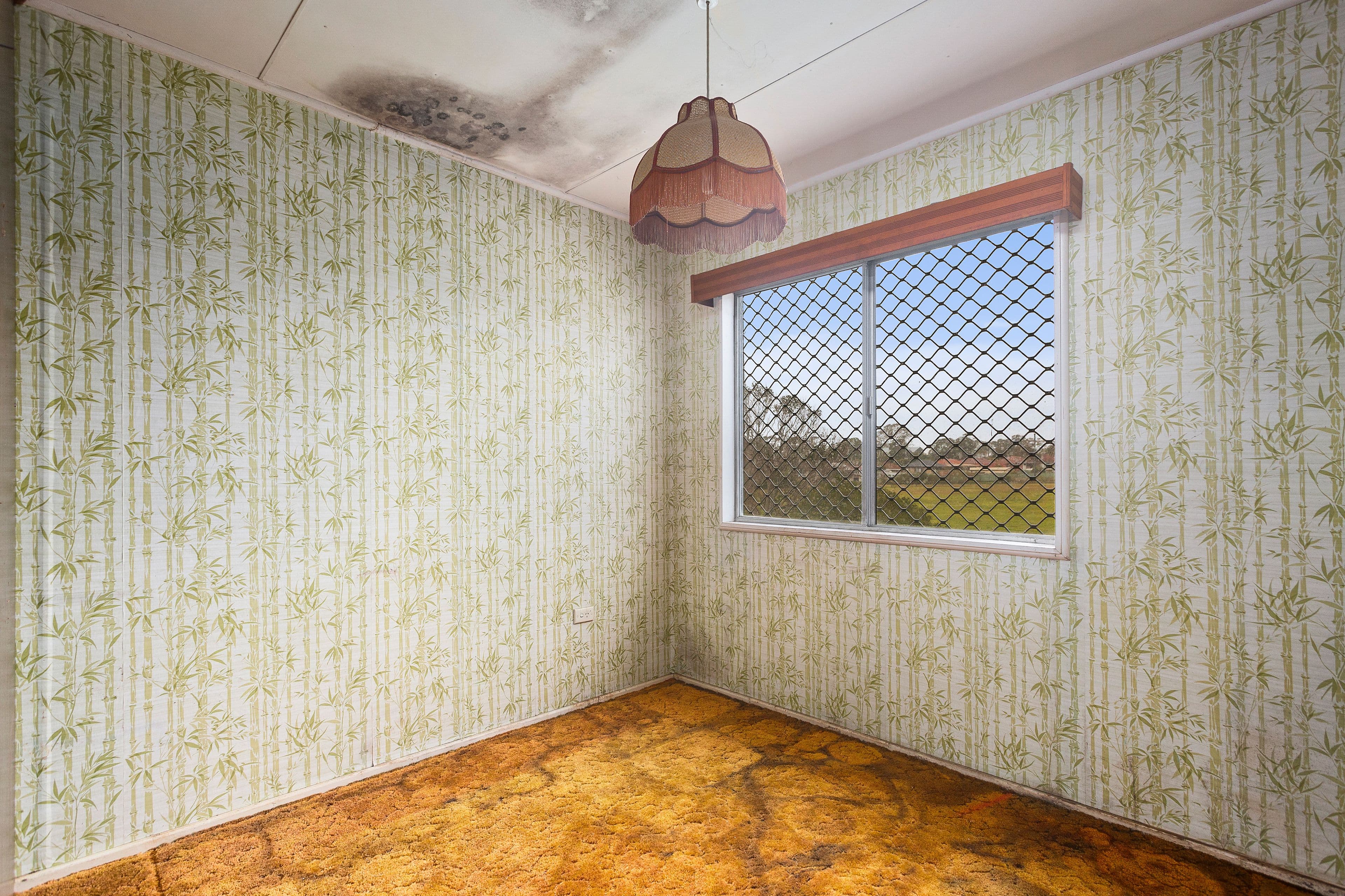 71 Lake Entrance Road, Warilla NSW 2528, Warilla - Thumbnail 4