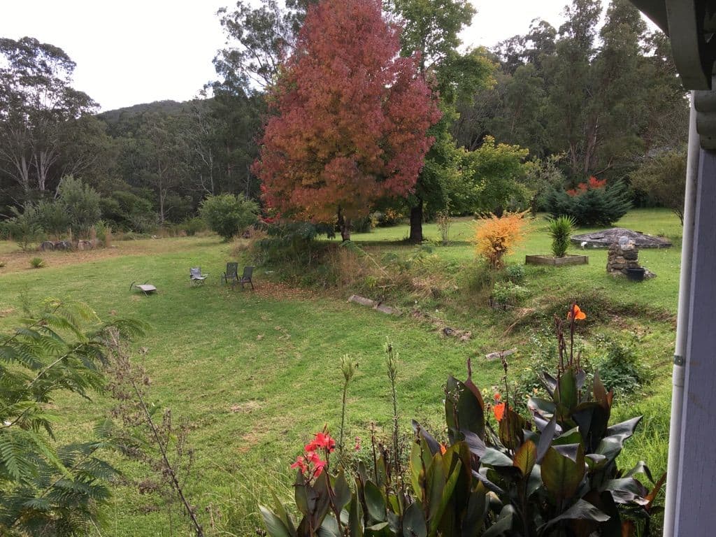 33 Mount Street, Dorrigo NSW 2453, Dorrigo - Thumbnail 8