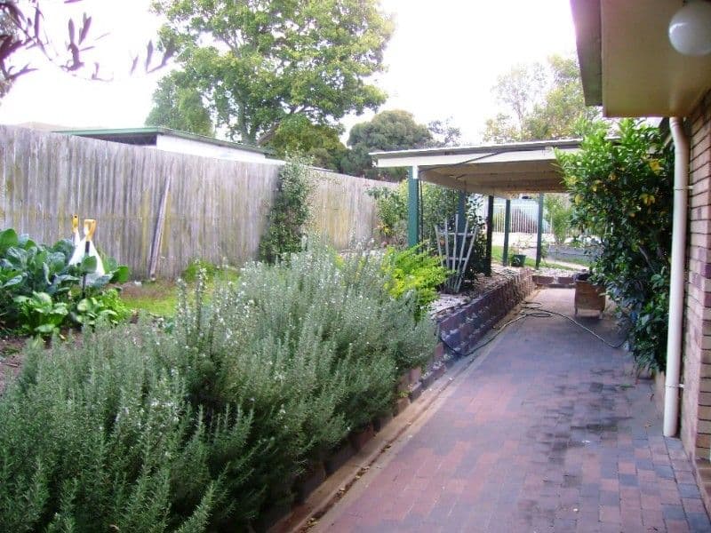 5 Self Street, WARWICK QLD 4370, Warwick - Thumbnail 4