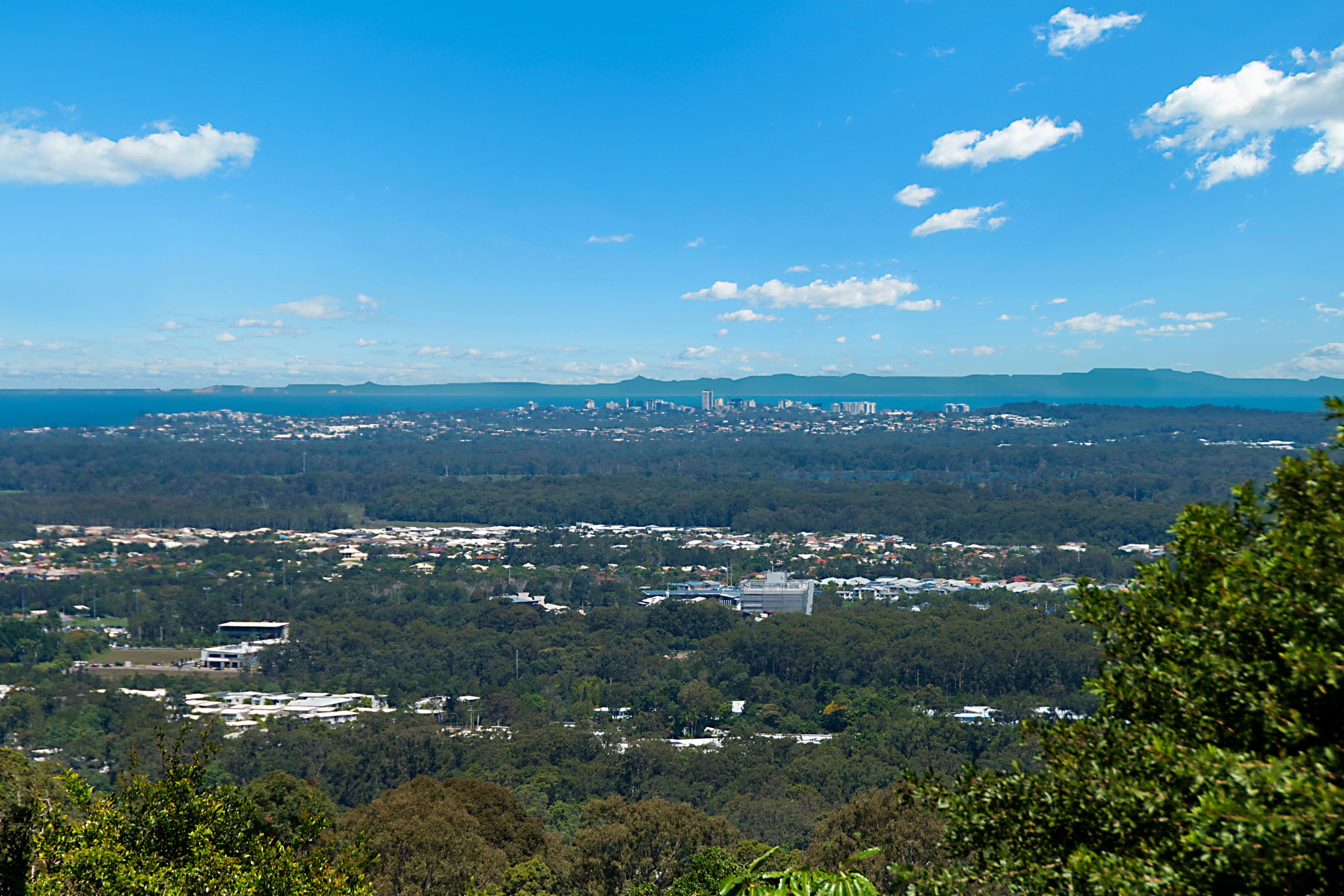 25 William Street, Buderim QLD 4556, Buderim - Thumbnail 5