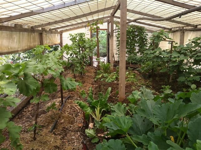 12 Mayne Street, ROMA QLD 4455, Roma - Thumbnail 4