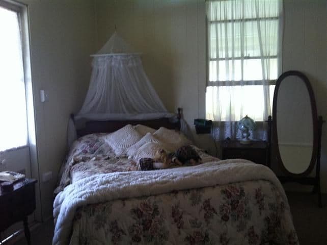 12 Mayne Street, ROMA QLD 4455, Roma - Thumbnail 7